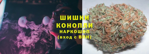 apvp Краснослободск